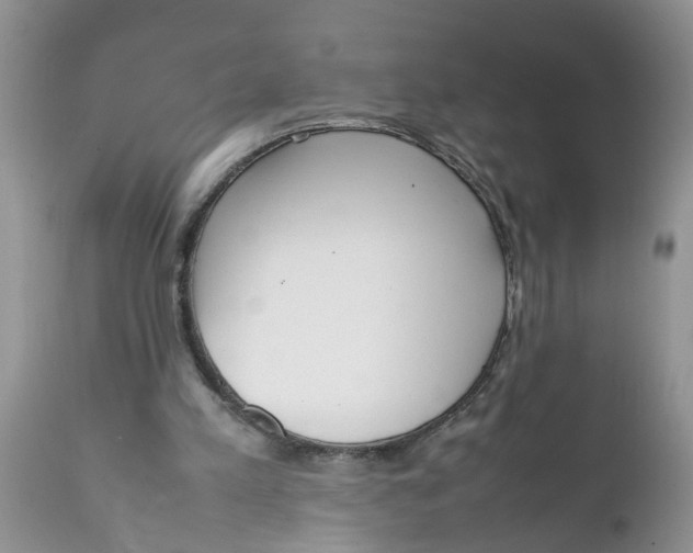 X0000111920197200908171332