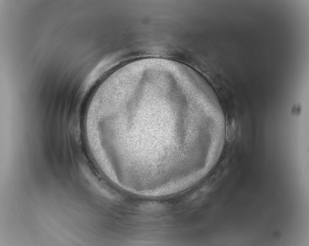 X0000111920198200908171332