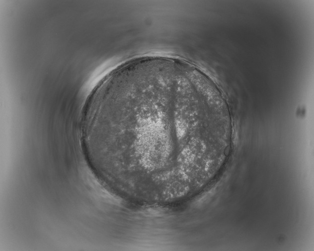 X0000111920199200908171332