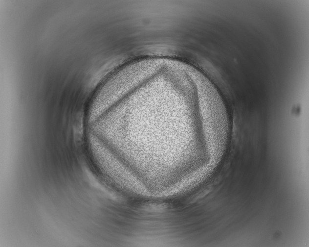 X0000111920202200908171332