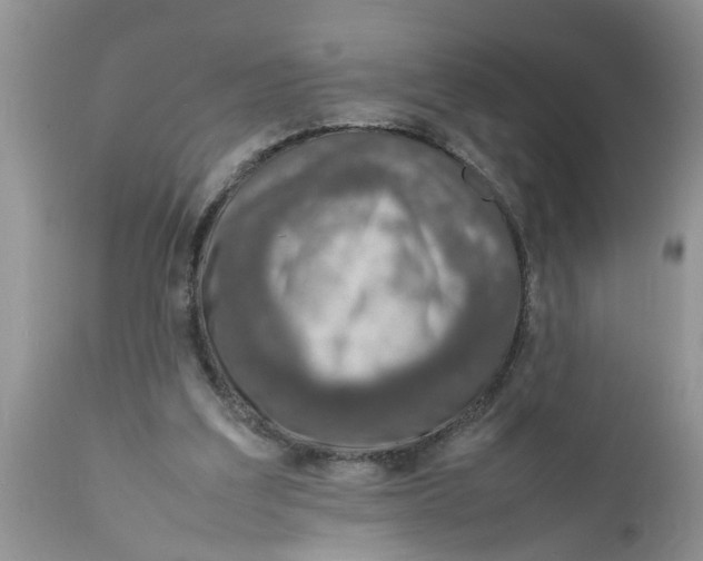 X0000111920203200908171332