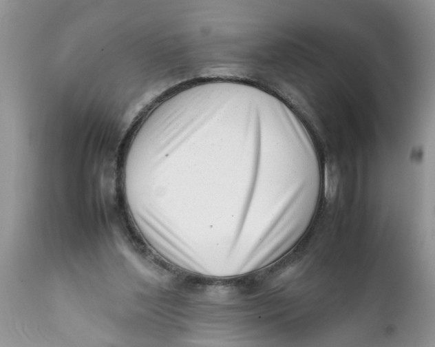 X0000111920204200908171332