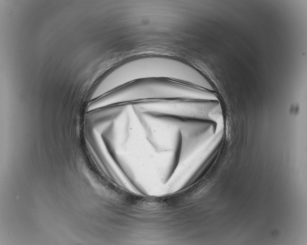 X0000111920205200908171332