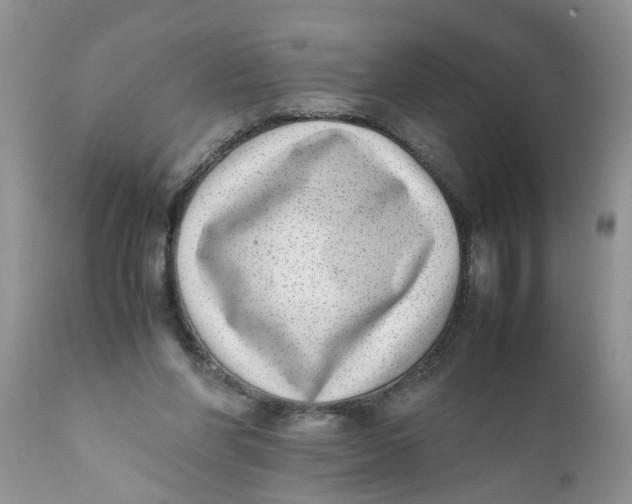 X0000111920206200908171332