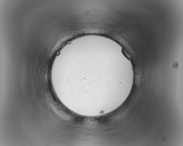 X0000111920207200908171332