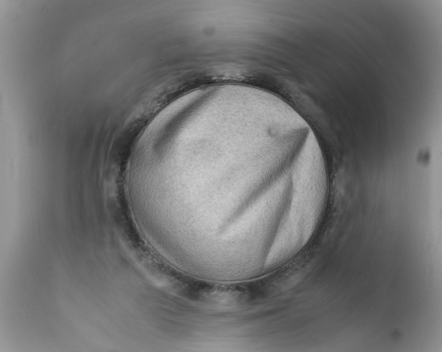 X0000111920209200908171332