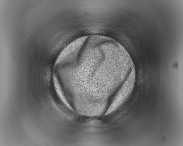 X0000111920210200908171332