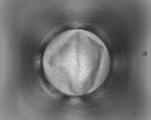 X0000111920214200908171332