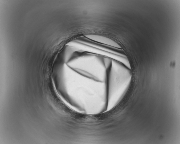 X0000111920215200908171332