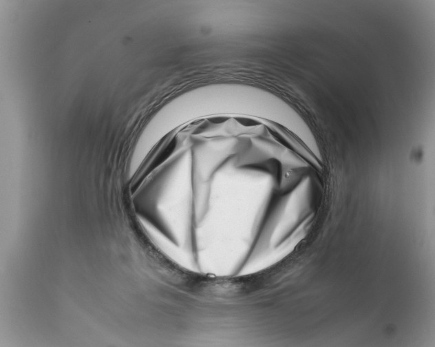 X0000111920217200908171332