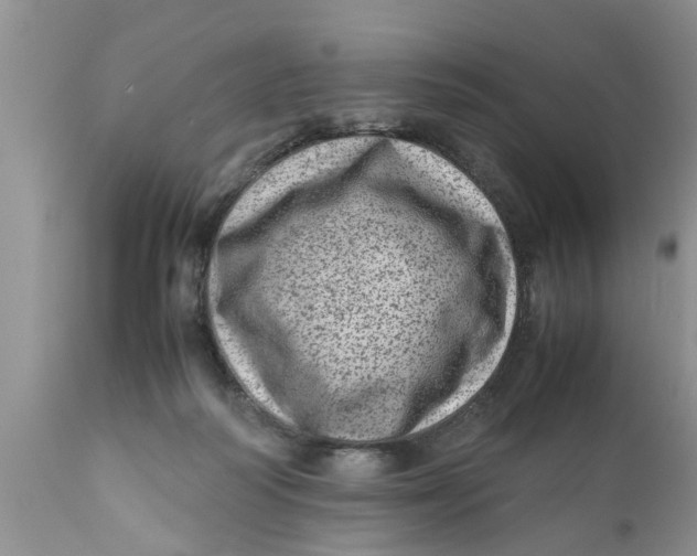 X0000111920218200908171332