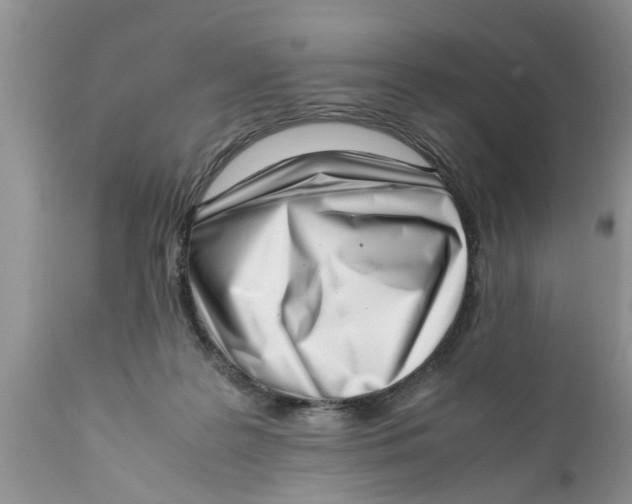 X0000111920219200908171332