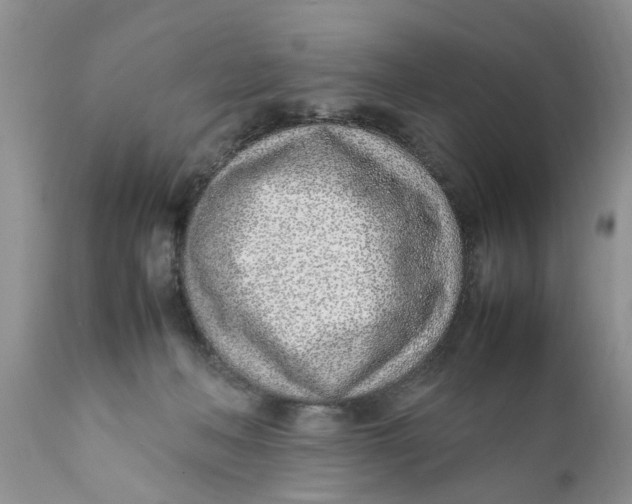 X0000111920222200908171332