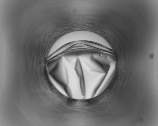 X0000111920223200908171332