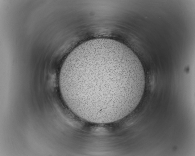 X0000111920224200908171332