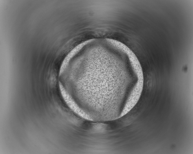 X0000111920226200908171331