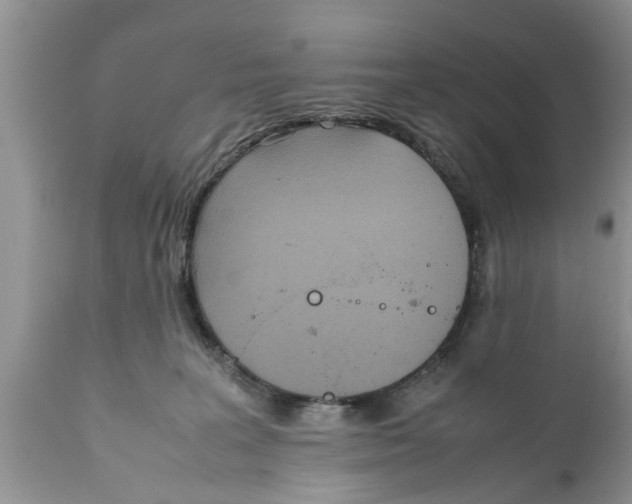 X0000111920227200908171331