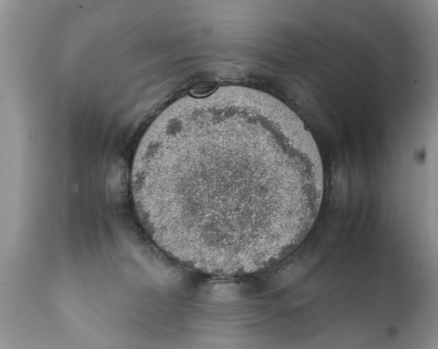 X0000111920228200908171331