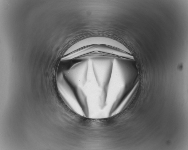 X0000111920229200908171331