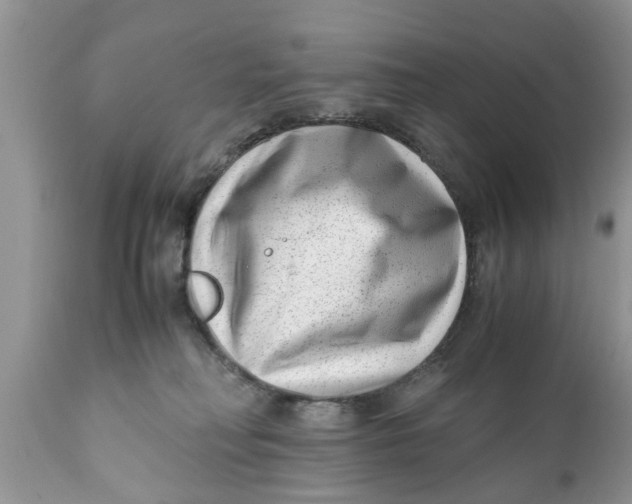 X0000111920230200908171331