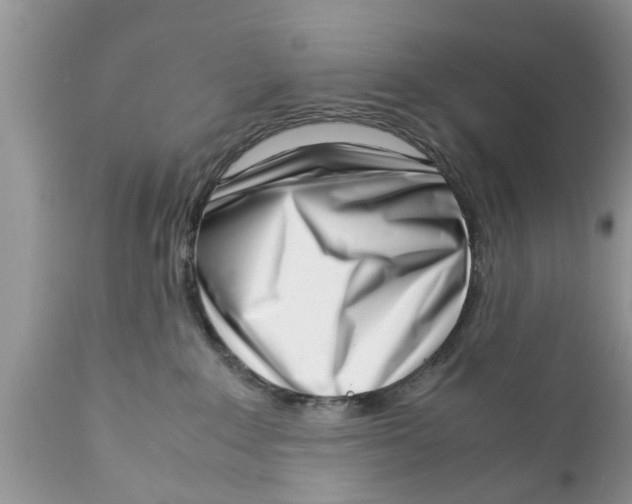 X0000111920235200908171331