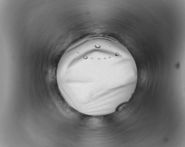 X0000111920236200908171331