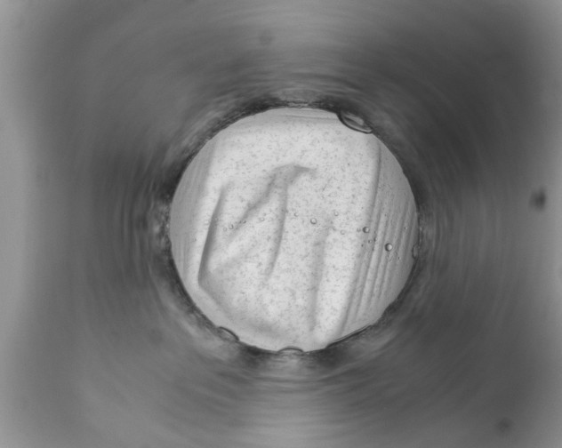 X0000111920237200908171331