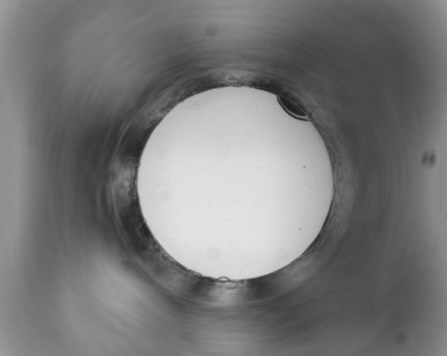 X0000111920240200908171331