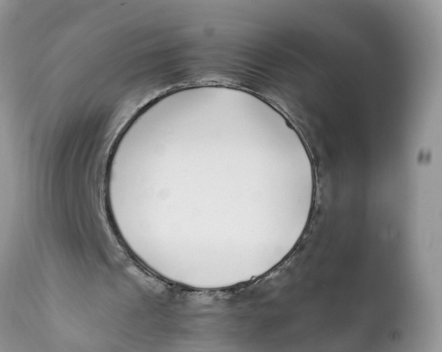 X0000111920241200908171330