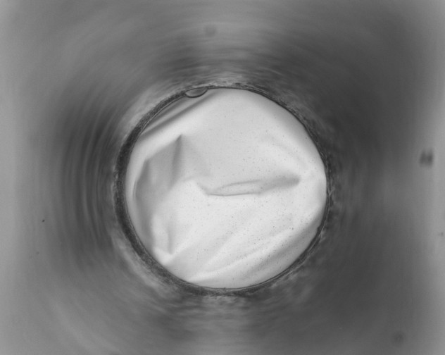 X0000111920242200908171330