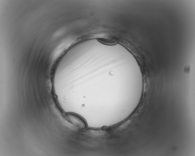 X0000111920245200908171330