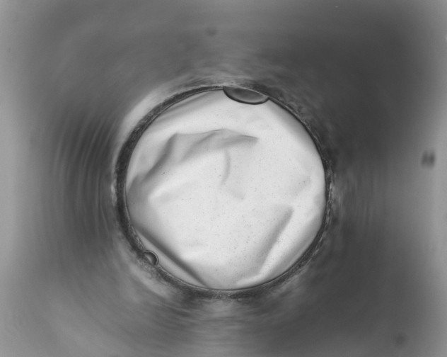 X0000111920246200908171330