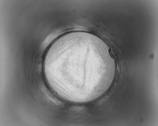 X0000111920247200908171330