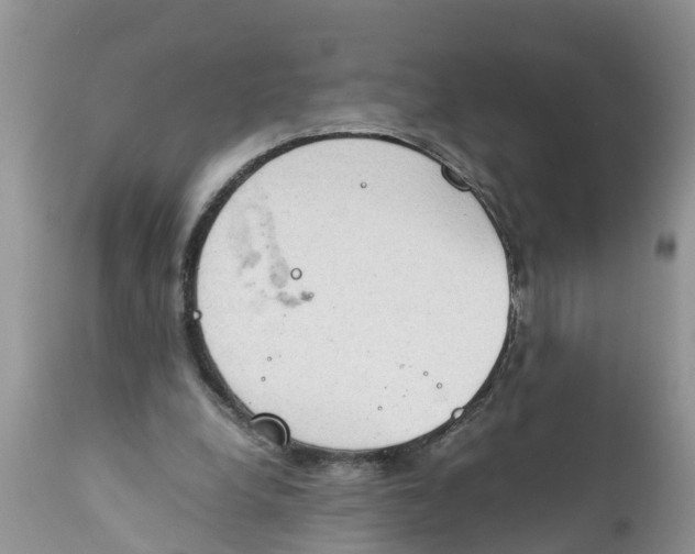 X0000111920248200908171330