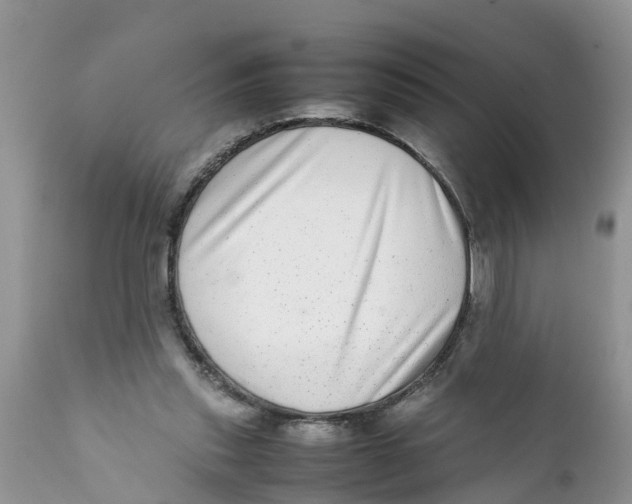 X0000111920253200908171330