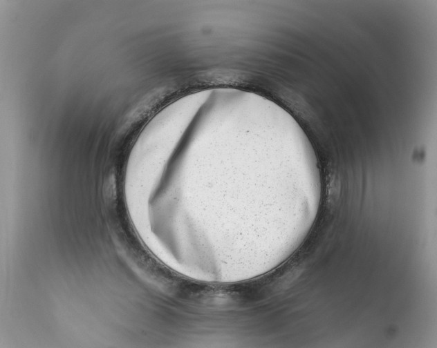 X0000111920254200908171330