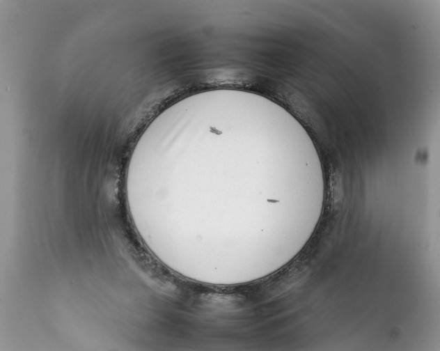 X0000111920255200908171330