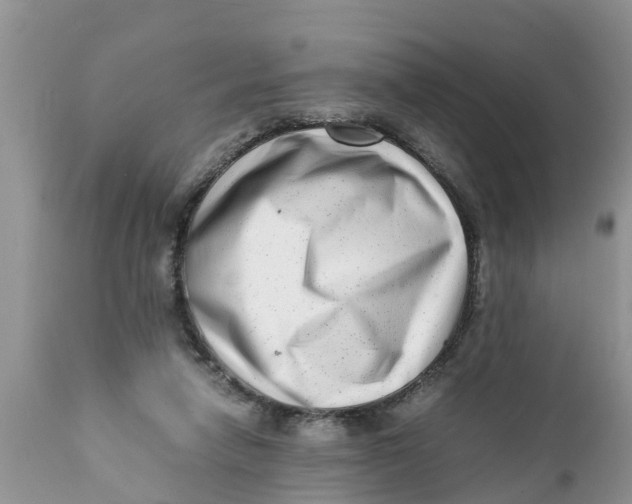 X0000111920258200908171331