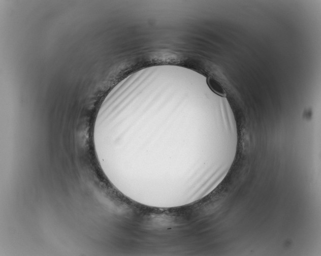 X0000111920259200908171331