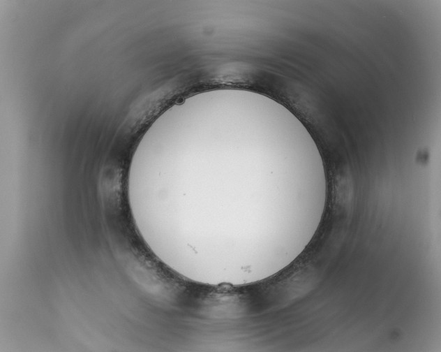 X0000111920260200908171331