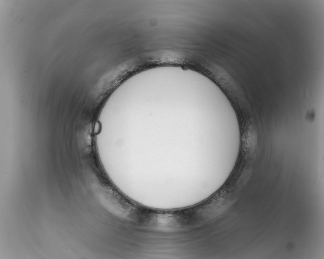 X0000111920264200908171331