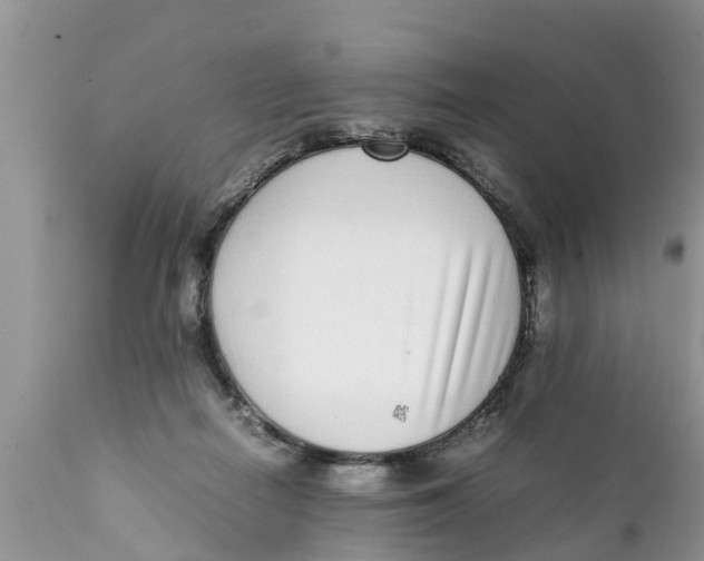 X0000111920266200908171331