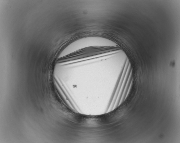 X0000111920268200908171331