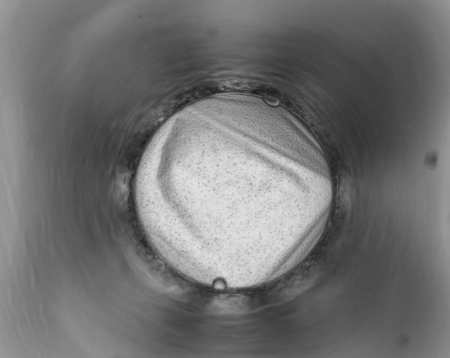 X0000111920271200908171331