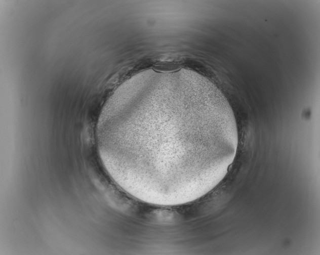 X0000111920272200908171331