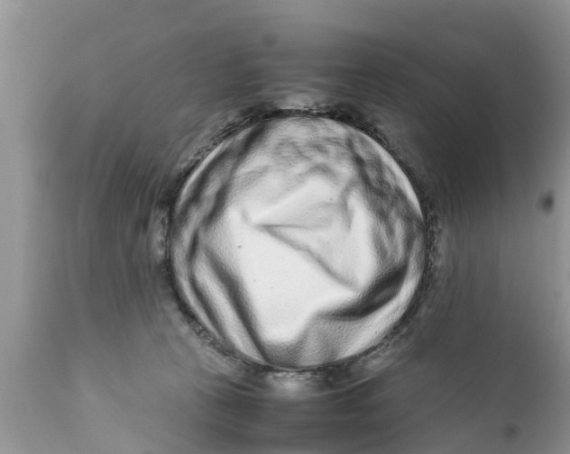 X0000111920273200908171331