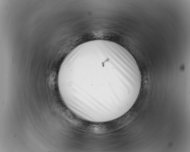 X0000111920275200908171331