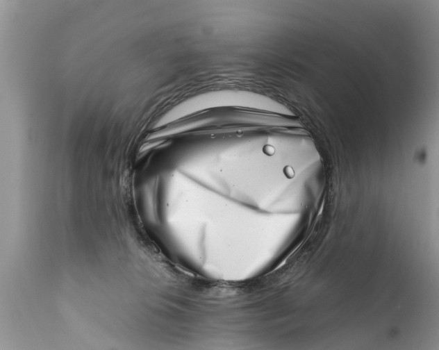 X0000111920276200908171331