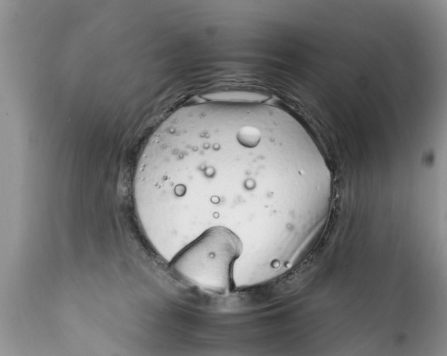 X0000111920277200908171331