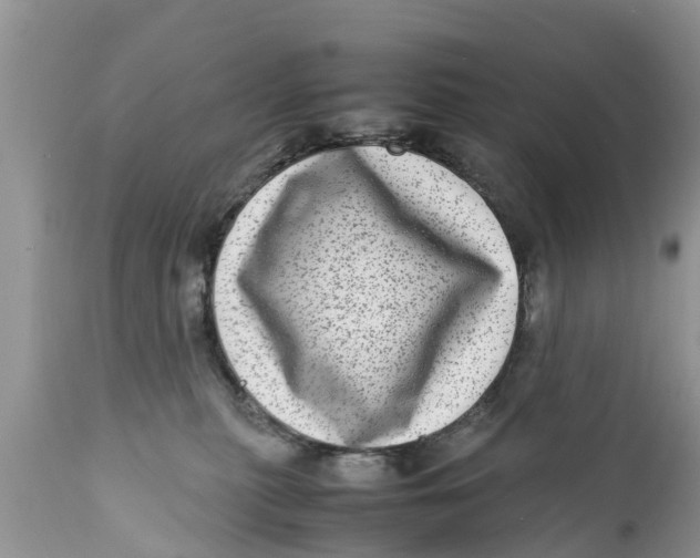 X0000111920279200908171331